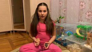 отличие джунгарского хомячка от сирийского