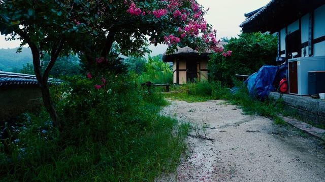 민속마을에 내리는 비, 힐링 안정 불면증해결을 위한 빗소리 ASMR, rain sounds for sleeping смотреть онлайн