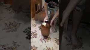 спускаем воздух с пивной кеги 30литров и открываем её.