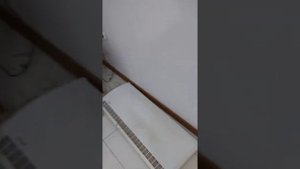 Пансионат"Эвкалиптовая роща" номер полулюкс, двухкомнатный .посёлок Кындыг. Абхазия