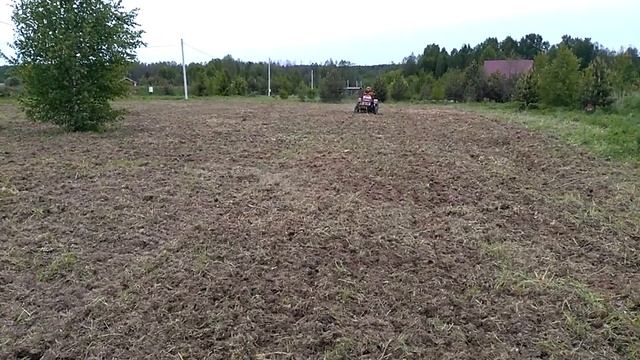 Посев медоносов, заделывание семян. Вторые опыты по созданию Медового конвейера. смотреть онлайн