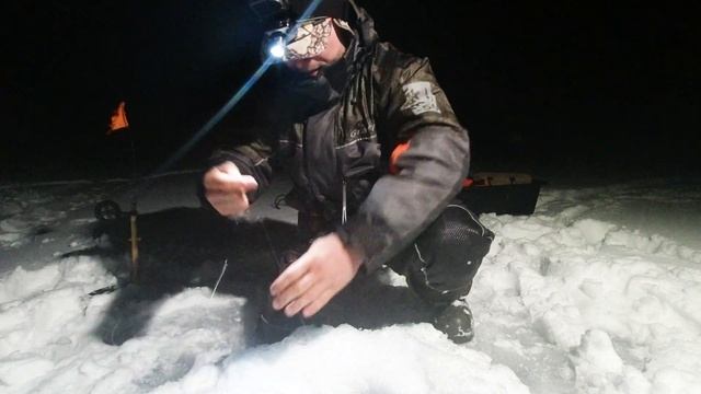 ЯУЗА не подвела! Ночная ловля СУДАКА на жерлицы в глухом коряжнике и среди СЕТЕЙ!