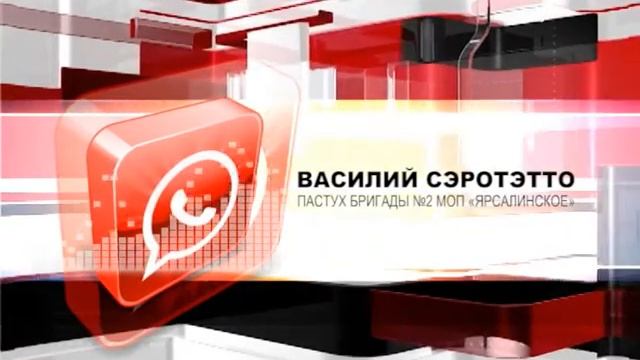 ТЕЛЯЧЬИ БУРАНЫ смотреть онлайн