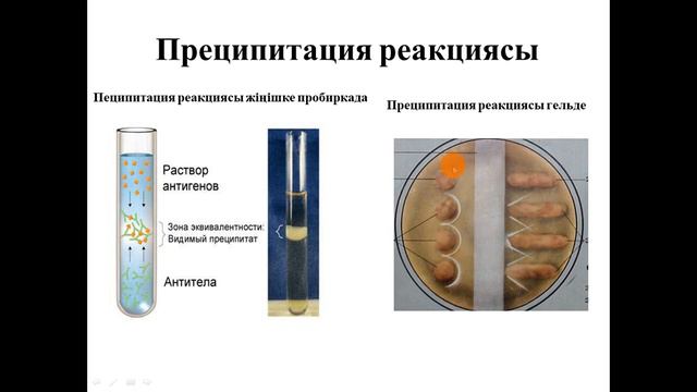 Серологиялық реакциялар
