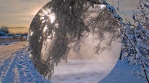 Евгений РОСС "Птица в Окно"(сл. и муз. Е.Росс)