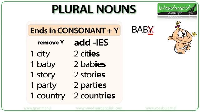 Plural Nouns in English - Regular & Irregular Plurals