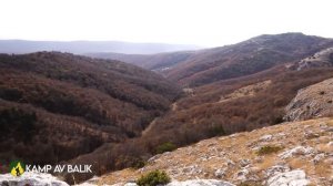 DEV AZILI YABAN DOMUZU AVI, DOMUZ KÖPEĞİ KESTİ, BEST WILD BOAR HUNTING, HOG HUNTS, PIG HUNTER,