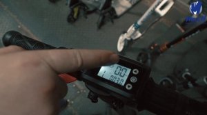 Электросамокат Jack Rabbit 165