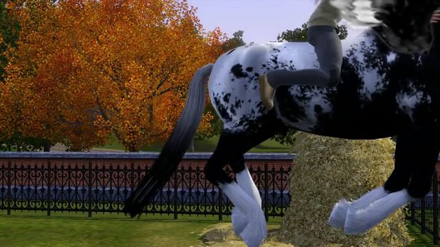 Коллекция анимационных поз для лошадей от Sims3Pets100 (ВЫПУСК 3) смотреть онлайн