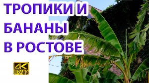 Почти Тропики конец сезона...