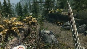 TES V Skyrim Special Edition-ПЕРВЫЙ ВЗГЛЯД