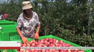 Высокотехнологичное фруктохранилище в селении Црау с каждым годом наращивает свое производство