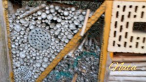 Домик или отель для полезных насекомых🐝🐜🐛