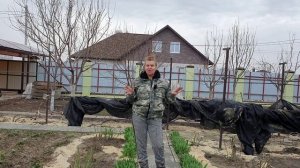 И рано плохо и поздно плохо. Когда снимать укрытие с роз и виногда