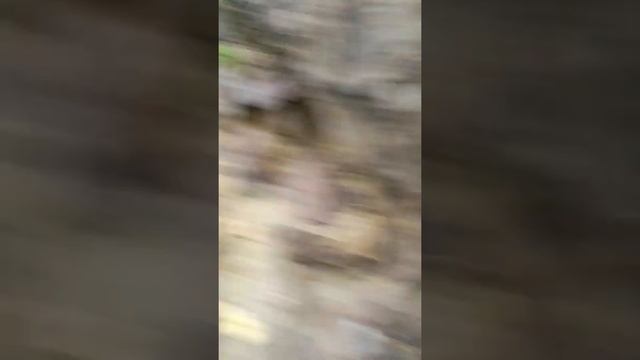 Про Амур 3 смотреть онлайн