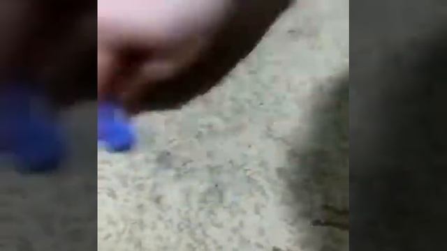 Как убрать жевательную резинку легко и просто +7 777 275 70 81 смотреть онлайн