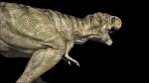 Килеск Kileskus aristotocus