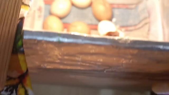 ВЛОГ : ВЫЛУПЛЕНИЕ ЦЫПЛЯТ / НАСЕДКА / ИНКУБАТОР ИЗ КОРОБКИ смотреть онлайн