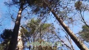 Video.Guru_20220912_215735437.mp4