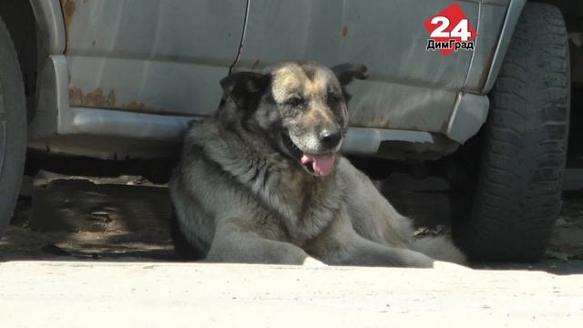 БЕЗНАДЗОРНОСТЬ + БЕЗОТВЕТСТВЕННОСТЬ = БЕЗНАКАЗАННОСТЬ?