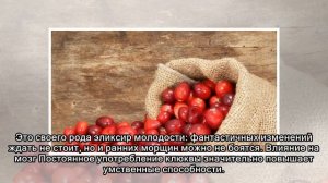 Польза клюквы для организма