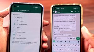 WhatsApp Mein Same as Last Seen Ka Matlab Kya Hota Hai, Who Can See When I am Online on WhatsApp