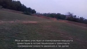 Крутим педали - качаем сердце и мозг. Врачи назвали пять причин в пользу покупки велосипеда