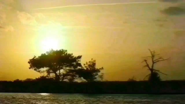 НУ ОНА И ДРЯНЬ. ОЛЮНЯ И КОТЮНЯ.