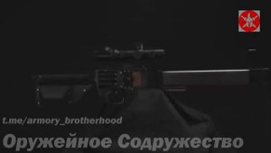 Электрическая штурмовая винтовка FDM L5.