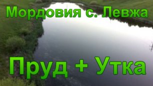 рес. Мордовия, село Левжа, пруд + утка.