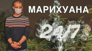 Вызов 02 Марихуана 24 на 7