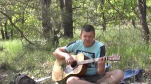 Кого только нет у меня в лесу (Кавер На Межгорбном острове 07.05.2017)