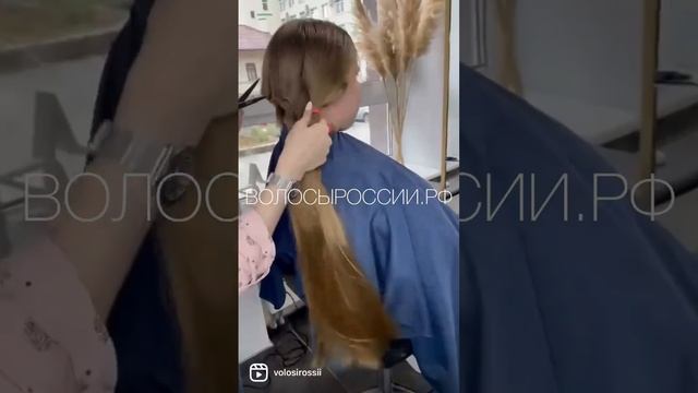 Продать волосы. Мы купим ваши волосы по самой высокой цене