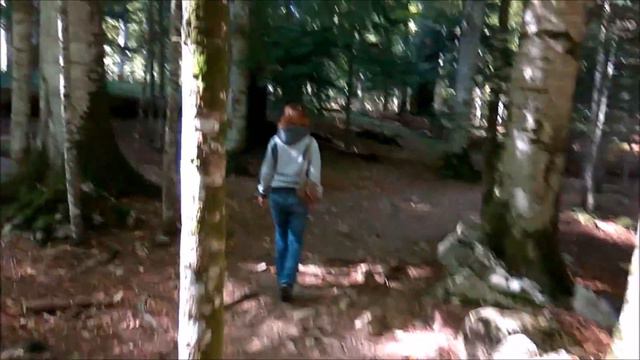 Биоградское озеро, Черногория смотреть онлайн