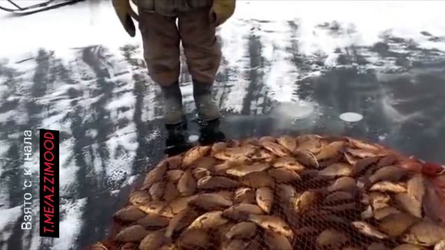 🐟Якутские рыбаки проверяют вершу. Нынче богатый улов. Архивное видео. #якутия #рыбалка