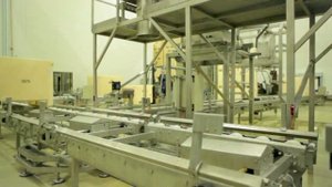 Производство селедки. MADE.BY