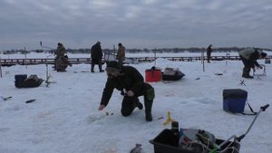 Форель на поставушки. Ловим и готовим.