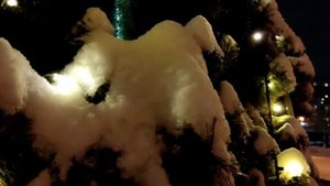 Триумф Плаза / Обнинск.