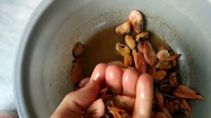 Очень хороший корм для аквариумных рыбок, своими руками