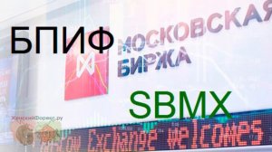 Что такое БПИФ?
