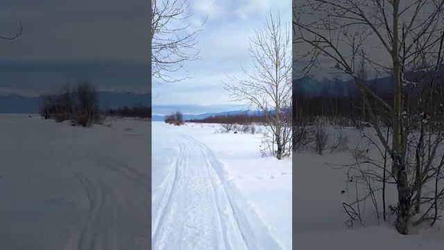 Снег скрипит под ногами, тепло, солнечно, Байкал, 09.01.24