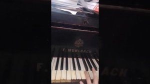 Порядок появления диезов и бемолей. Кварто- квинтовый круг.