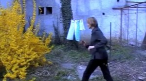 Kata Mijatović: Forsythia, 2002, video