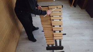 Ксилофон учебный №1