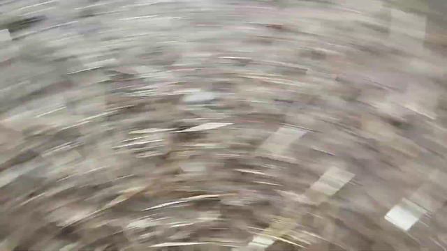 Жизнь это миг / Приют для собак г Ефремов смотреть онлайн