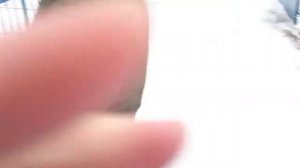 Станция Еланский