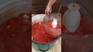 Морс , кислый томат(как на борщ) - маринад для шашлыка .