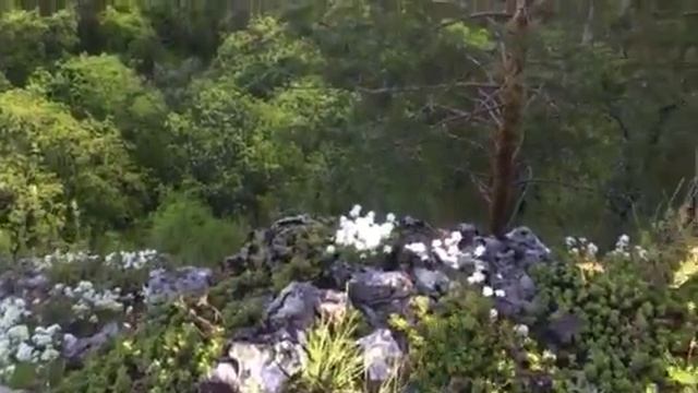 Скала на водопаде Куперля. Внизу река Нугуш [07.05.2016] смотреть онлайн