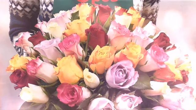 51 роза MIX по АКЦИИ - 1490р смотреть онлайн