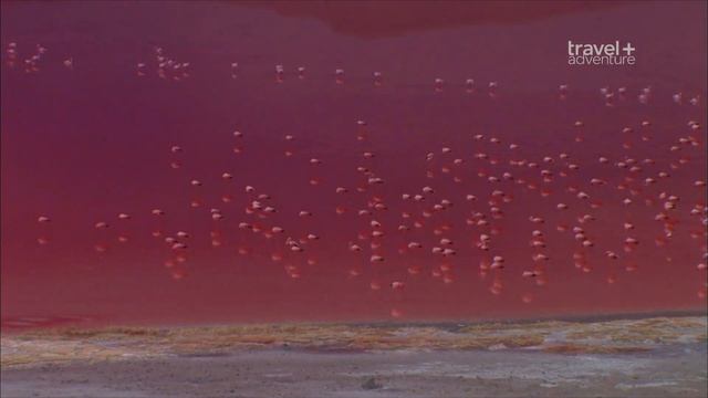 Путешествие на край света с Артом Вольфом / Travels to the Edge Серия 1 Боливия - Плато Альтиплано